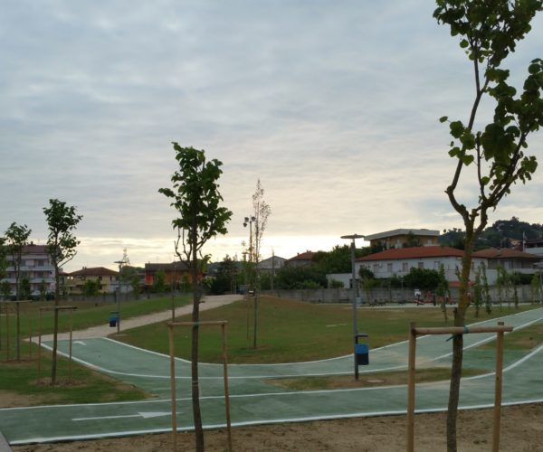 OS24 Parco 120 alberi